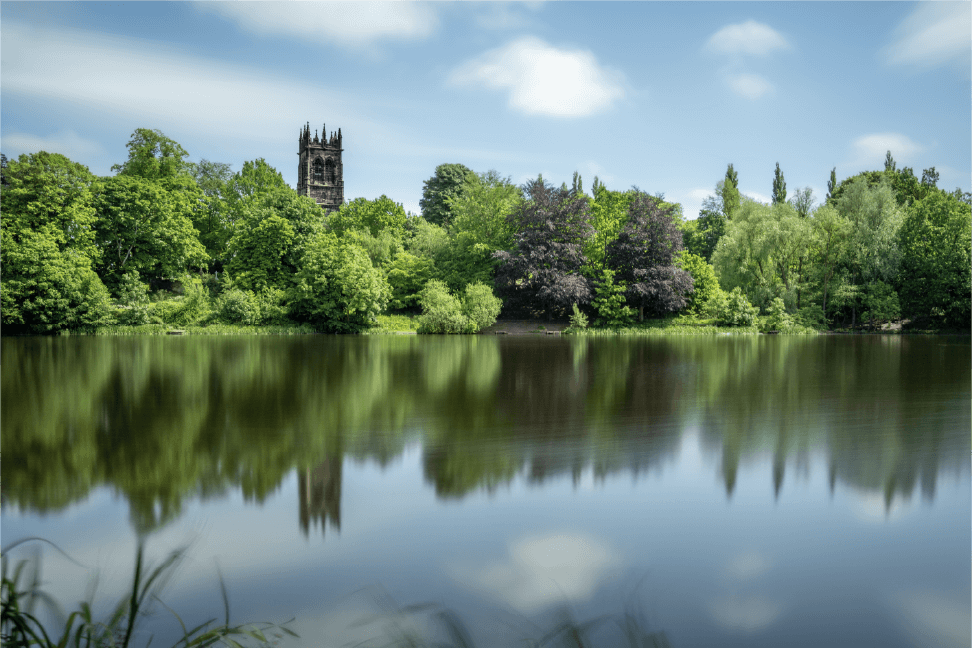 Lake surrounded by trees